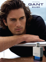 Gant Silver